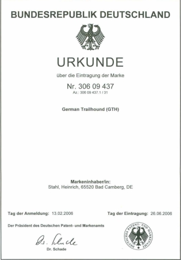 Gebrauchstmusterschutz GTH 33%