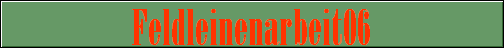 Feldleinenarbeit06