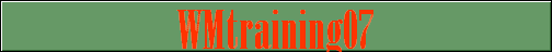 WMtraining07