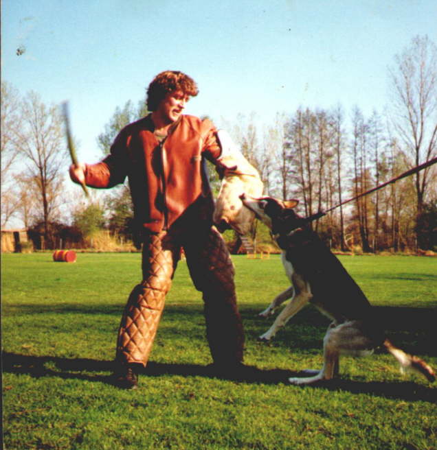 Daimon am Hetz�rmel