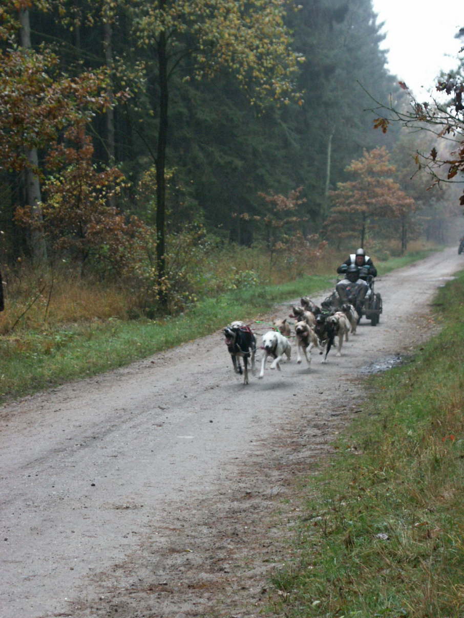 PICT0823